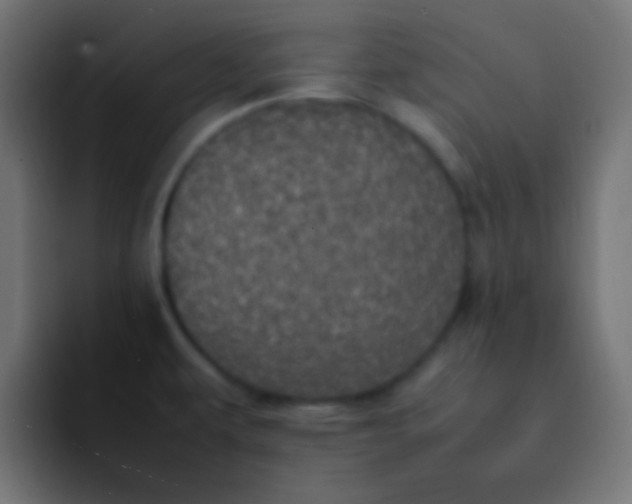 X0000092091479200710031145