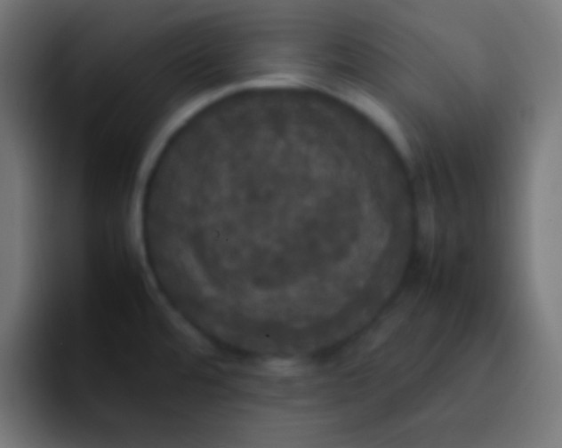 X0000092091480200710031145