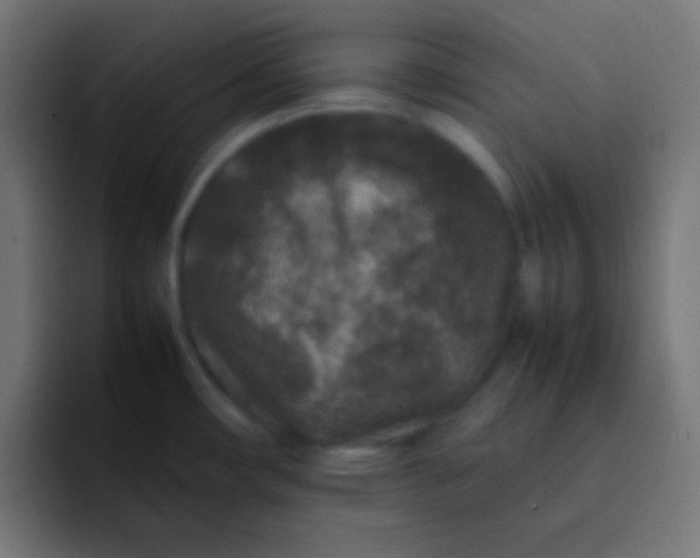 X0000092091482200710031145