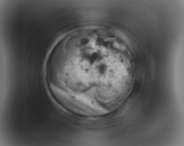 X0000092091483200710031145