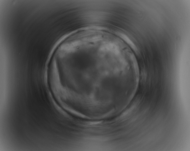 X0000092091484200710031145