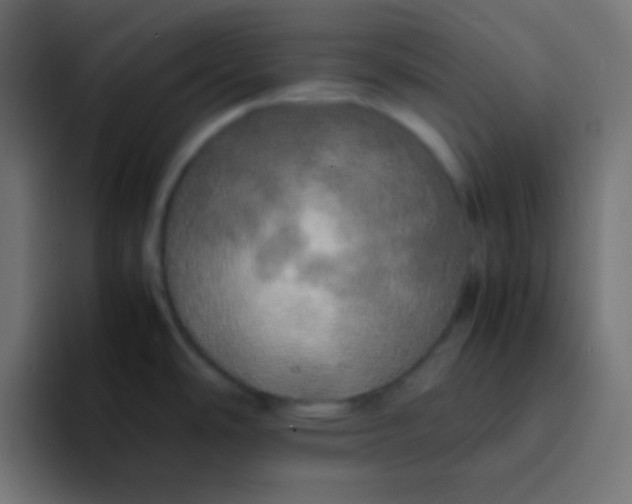 X0000092091486200710031145