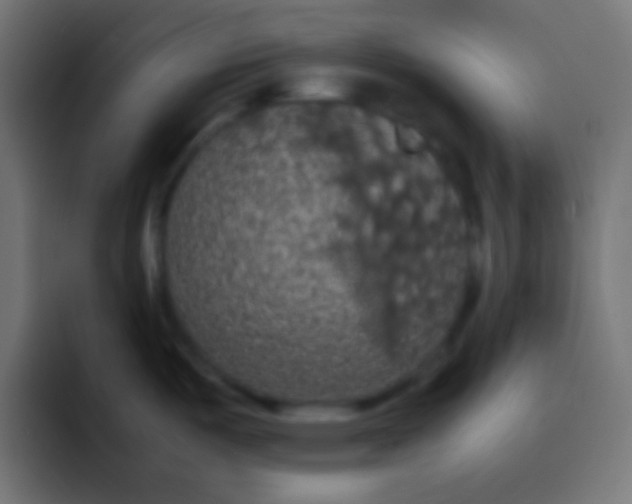 X0000092091487200710031145
