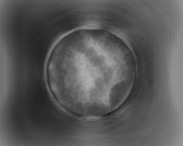 X0000092091488200710031145