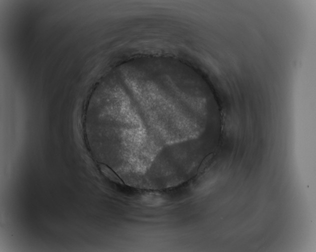 X0000092091489200710031145