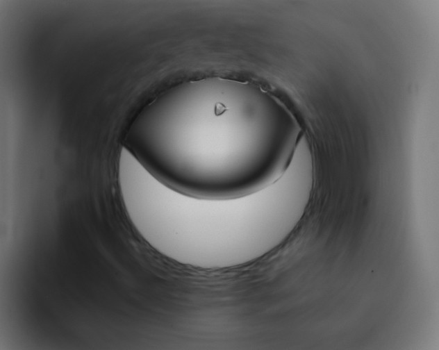 X0000092091492200710031145