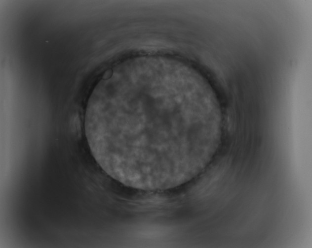 X0000092091493200710031145