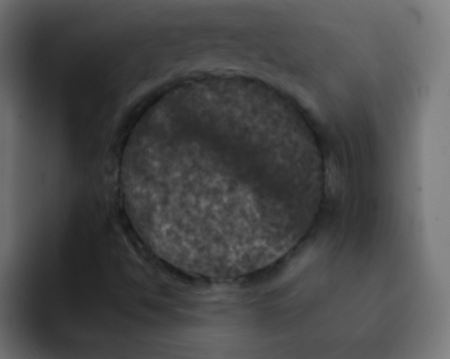 X0000092091494200710031145