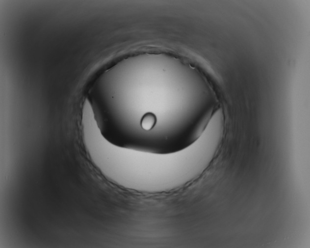 X0000092091496200710031145