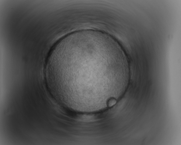X0000092091497200710031145