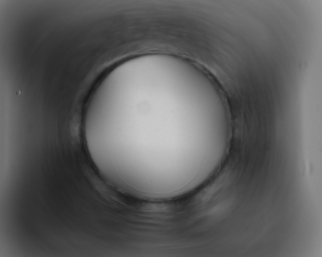 X0000092091499200710031145