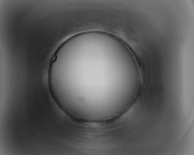 X0000092091500200710031145