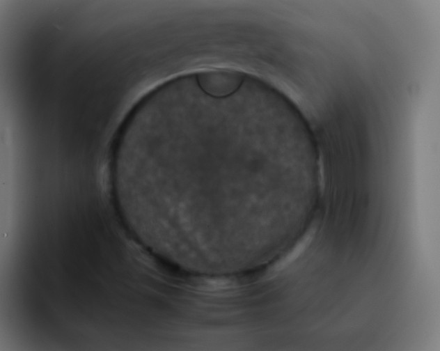 X0000092091501200710031145