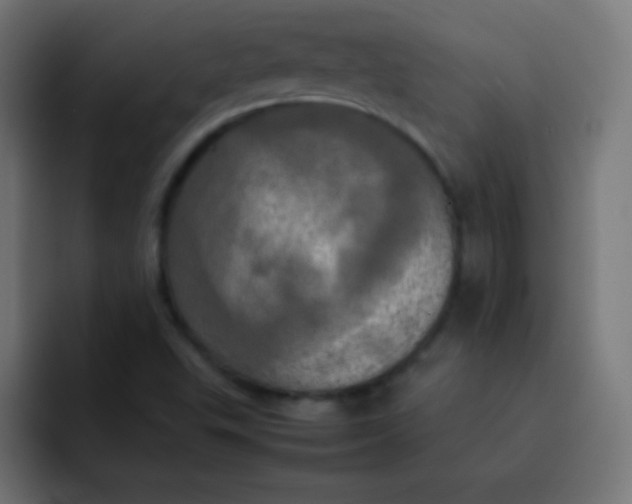 X0000092091503200710031145
