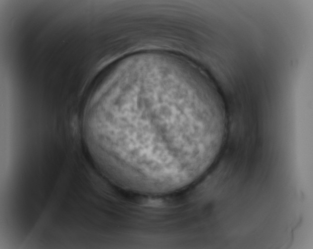 X0000092091505200710031145