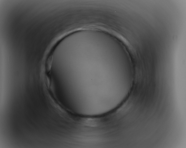 X0000092091506200710031145