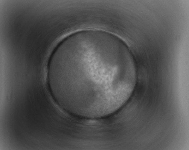 X0000092091507200710031145