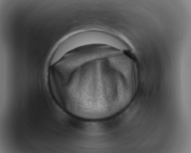 X0000092091508200710031145
