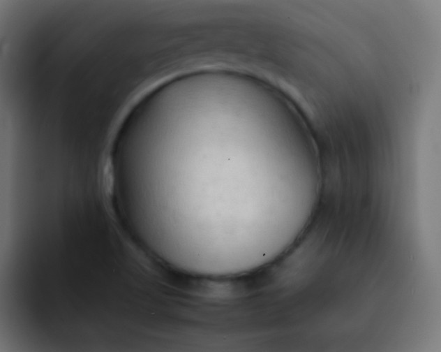 X0000092091509200710031145