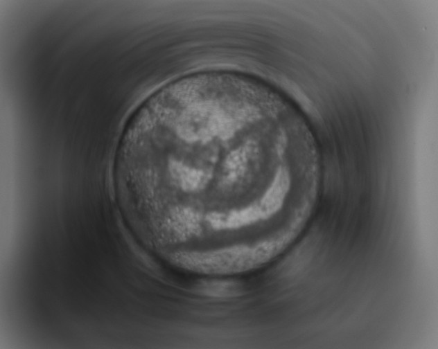 X0000092091513200710031145