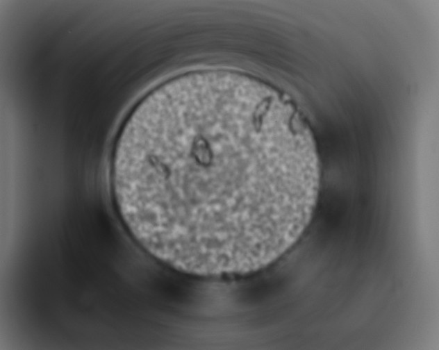 X0000092091514200710031145