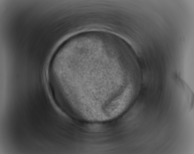 X0000092091515200710031145