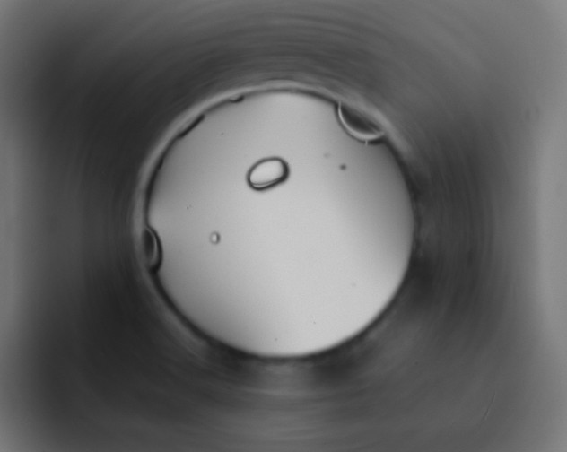 X0000092091516200710031145