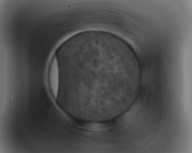 X0000092091517200710031145