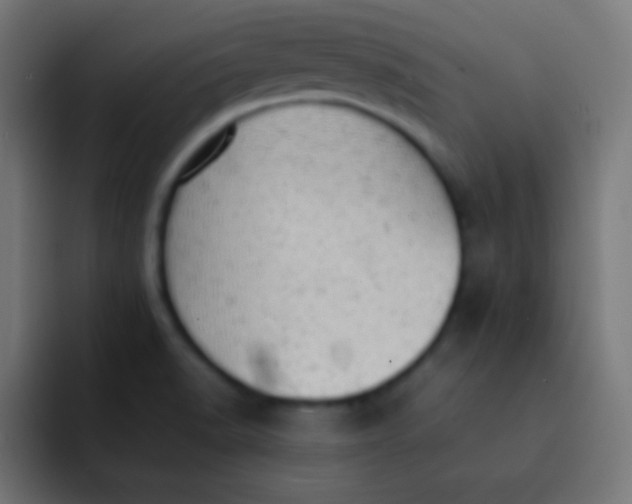 X0000092091518200710031145