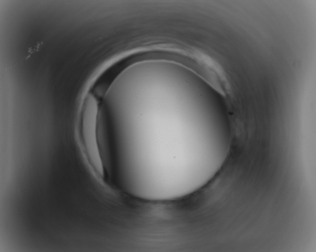 X0000092091520200710031145