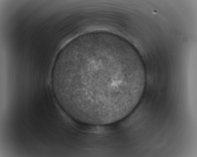 X0000092091521200710031145