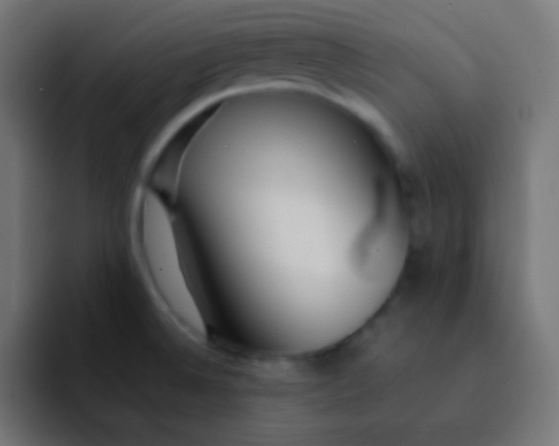 X0000092091524200710031145