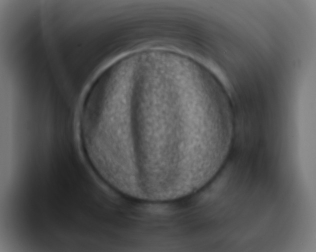 X0000092091525200710031145