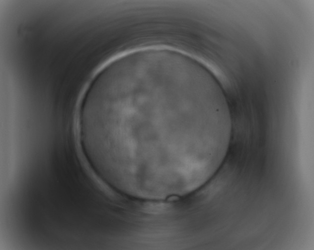 X0000092091526200710031145