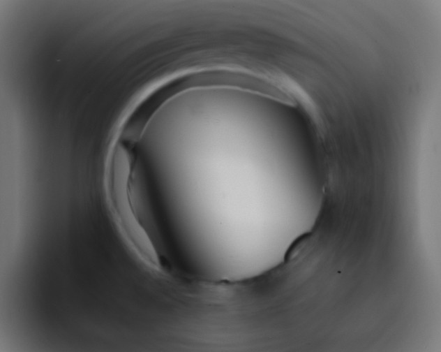 X0000092091528200710031145