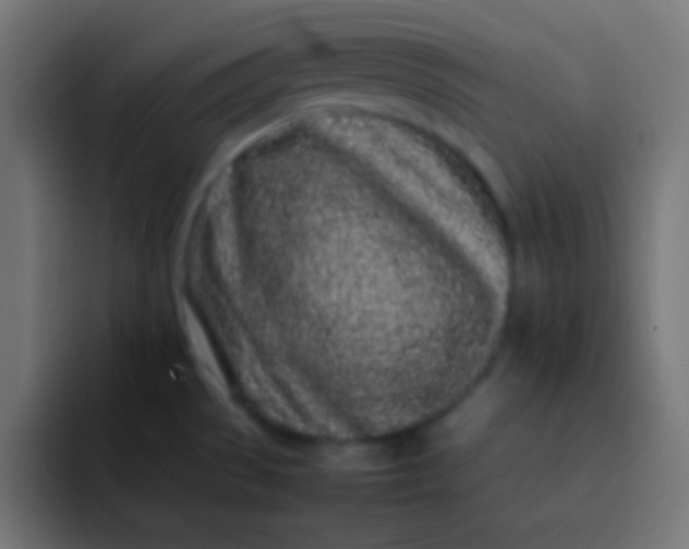 X0000092091529200710031145