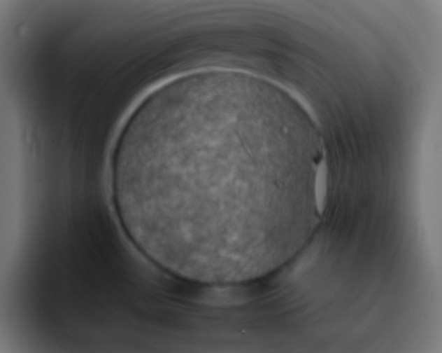 X0000092091531200710031145