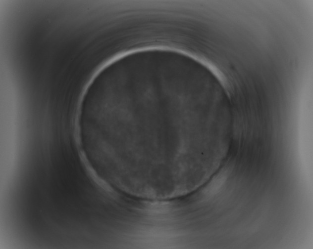 X0000092091534200710031145