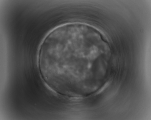 X0000092091535200710031145