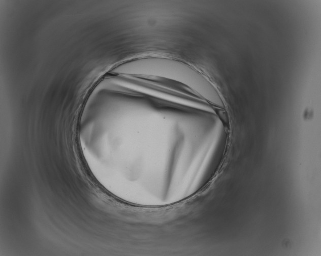 X0000092090001200710101111