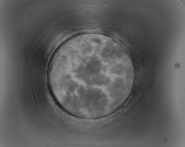 X0000092090002200710101111