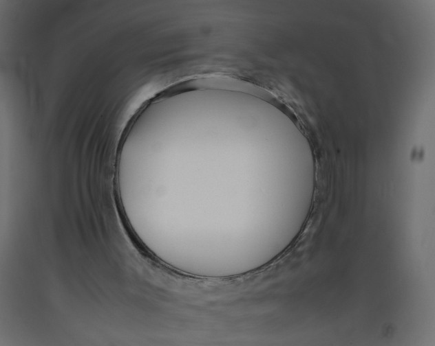 X0000092090003200710101111