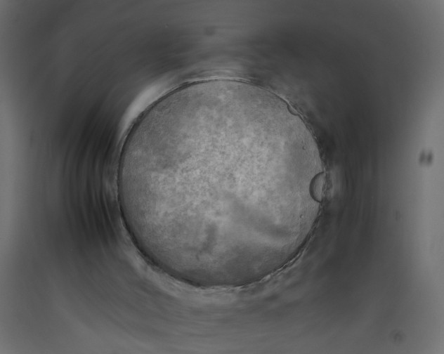 X0000092090004200710101111