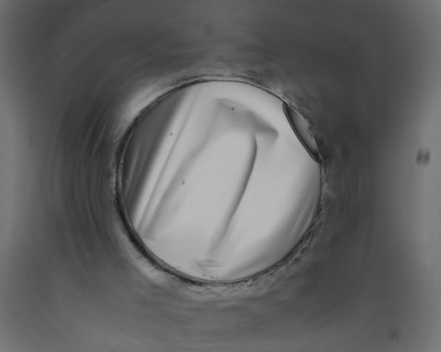 X0000092090005200710101111
