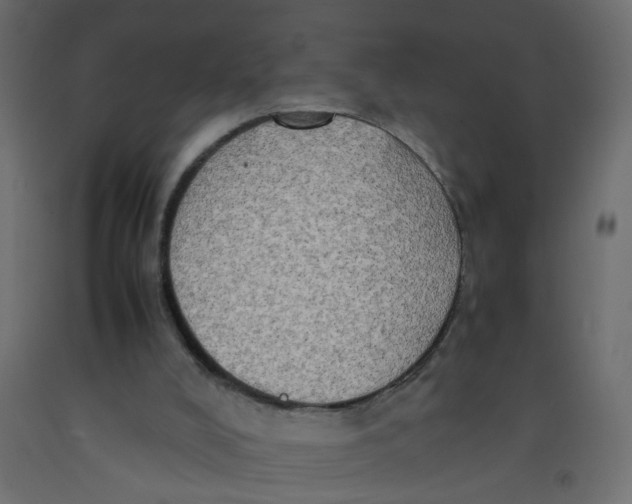 X0000092090008200710101111