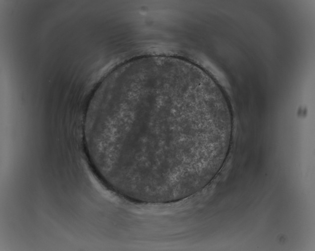 X0000092090009200710101111