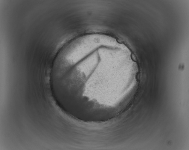 X0000092090010200710101110