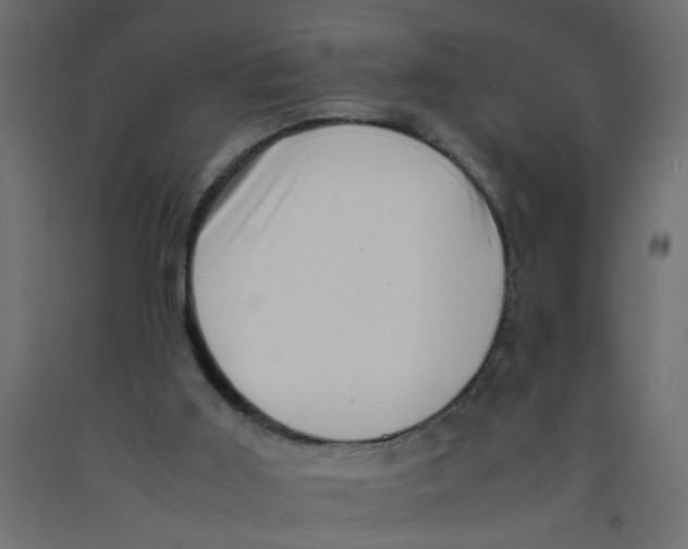 X0000092090011200710101110