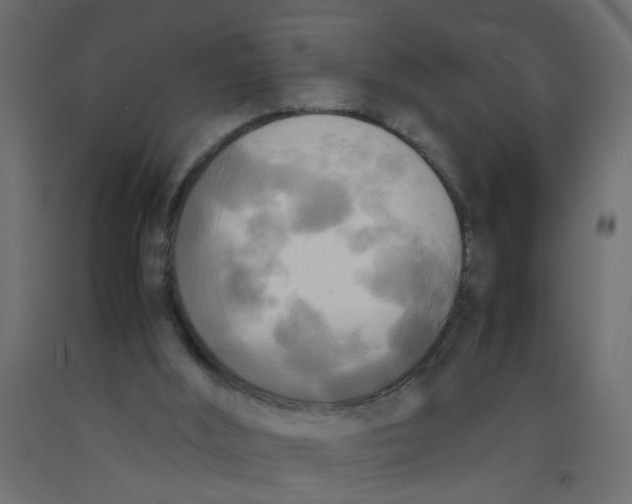 X0000092090012200710101110