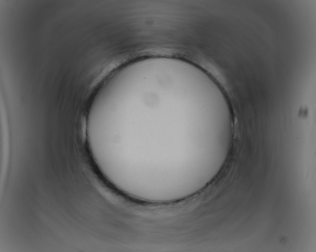 X0000092090013200710101110